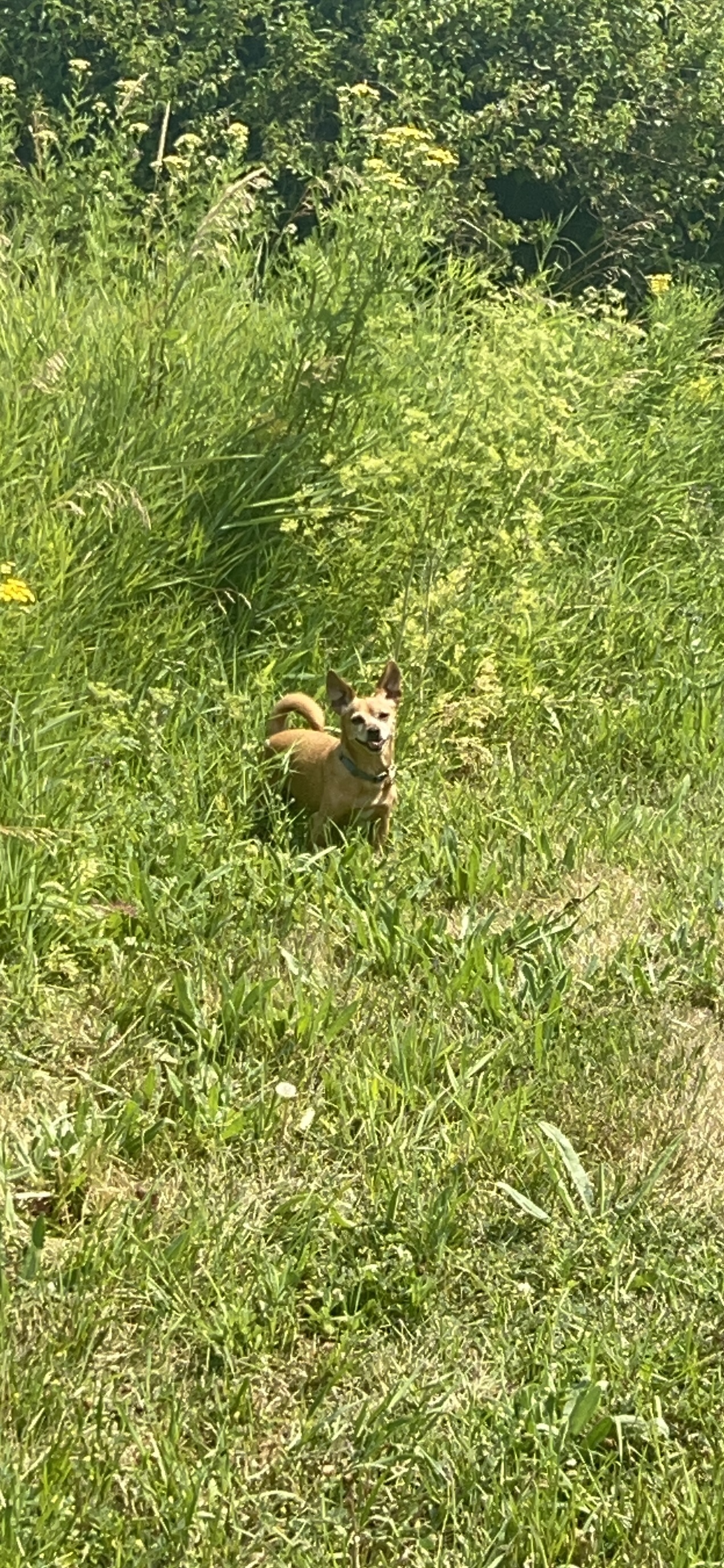 On a walk